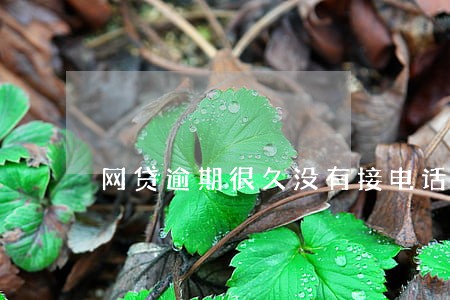 网贷逾期很久没有接电话了 网贷逾期很久没有接电话了