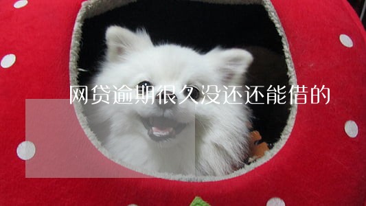 网贷逾期很久没还还能借的