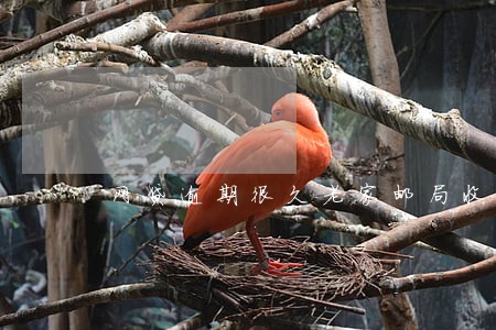 网贷逾期很久老家邮局收到快件 网贷逾期很久老家邮局收到快件