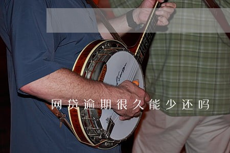 网贷逾期很久能少还吗 网贷逾期很久能少还吗