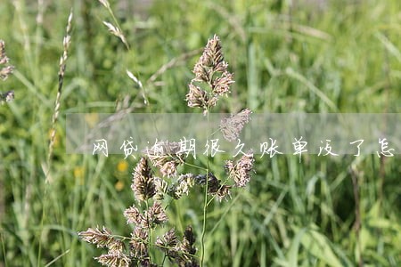 网贷逾期很久账单没了怎么回事 网贷逾期很久账单没了怎么回事