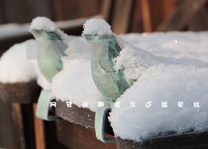 网贷逾期很久还能买社保吗 网贷逾期很久还能买社保吗
