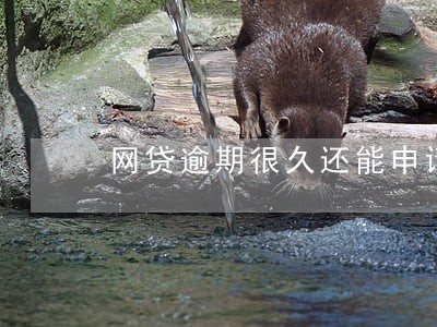 网贷逾期很久还能申请信用卡吗 网贷逾期很久还能申请信用卡吗