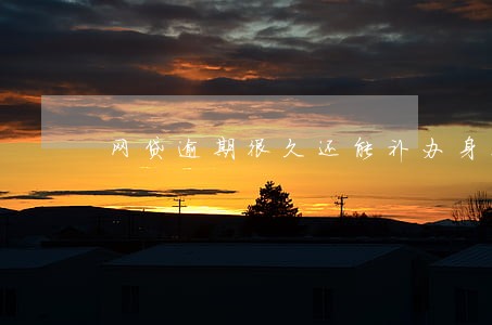 网贷逾期很久还能补办身份证吗 网贷逾期很久还能补办身份证吗