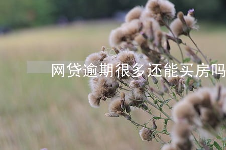 网贷逾期很多还能买房吗 网贷逾期很多还能买房吗