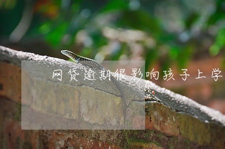 网贷逾期很影响孩子上学吗 网贷逾期很影响孩子上学吗