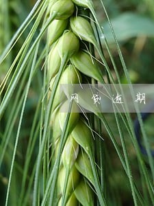 网贷逾期律师事务所打电 网贷逾期律师事务所打电