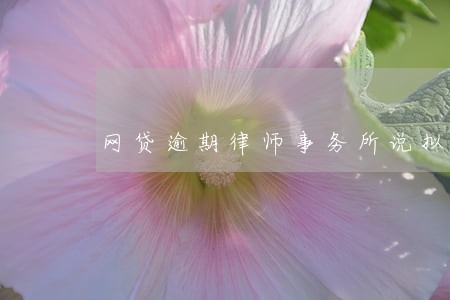 网贷逾期律师事务所说拟定开庭 网贷逾期律师事务所说拟定开庭