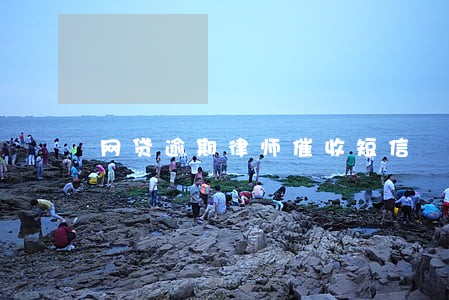 网贷逾期律师催收短信 网贷逾期律师催收短信