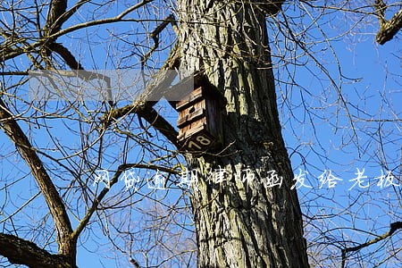 网贷逾期律师函发给老板怎么办 网贷逾期律师函发给老板怎么办