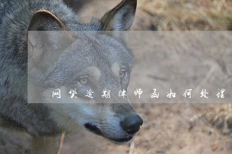 网贷逾期律师函如何处理 网贷逾期律师函如何处理