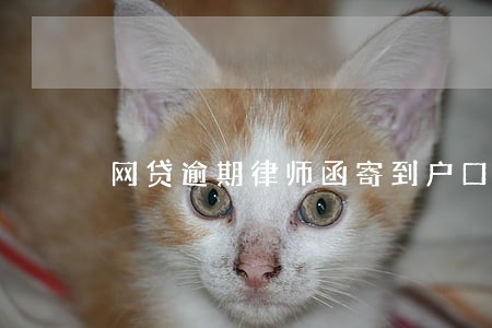 网贷逾期律师函寄到户口本地