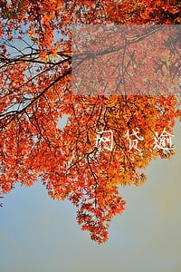 网贷逾期律师函没盖章 网贷逾期律师函没盖章