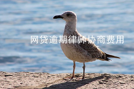 网贷逾期律师协商费用