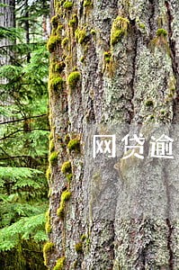 网贷逾期律师发通知起诉法院 网贷逾期律师发通知起诉法院