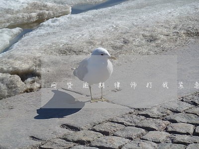 网贷逾期律师打我紧急联系人 网贷逾期律师打我紧急联系人