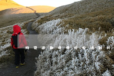 网贷逾期律师打电话到村委 网贷逾期律师打电话到村委