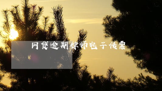 网贷逾期律师电子传票 网贷逾期律师电子传票