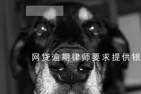 网贷逾期律师要求提供银行流水 网贷逾期律师要求提供银行流水