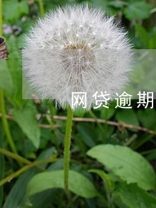 网贷逾期律师说相关人员来家里 网贷逾期律师说相关人员来家里