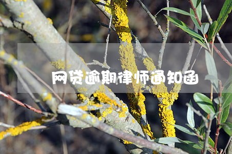 网贷逾期律师通知函 网贷逾期律师通知函