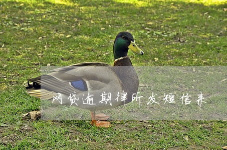 网贷逾期律所发短信来 网贷逾期律所发短信来