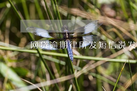 网贷逾期律所发短信说发通告函 网贷逾期律所发短信说发通告函
