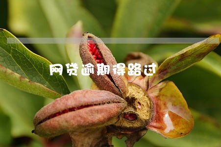 网贷逾期得路过 网贷逾期得路过