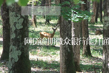网贷逾期微众银行能开通吗