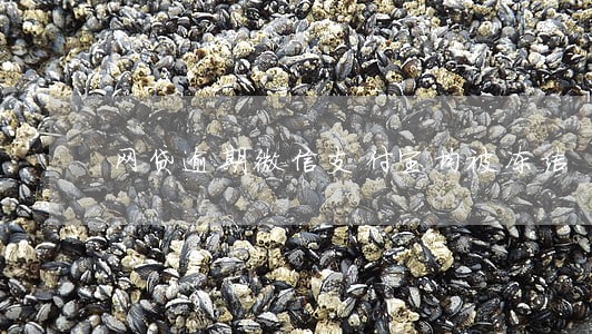 网贷逾期微信支付宝均被冻结 网贷逾期微信支付宝均被冻结