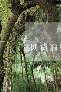 网贷逾期微信还款 网贷逾期微信还款