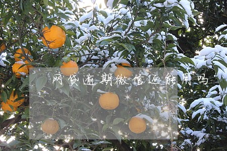 网贷逾期微信还能用吗 网贷逾期微信还能用吗