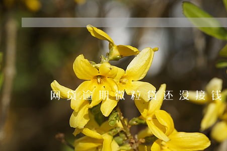 网贷逾期微粒贷还没接钱出来吗 网贷逾期微粒贷还没接钱出来吗