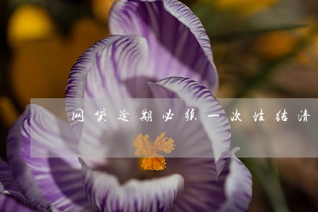 网贷逾期必须一次性结清吗 网贷逾期必须一次性结清吗