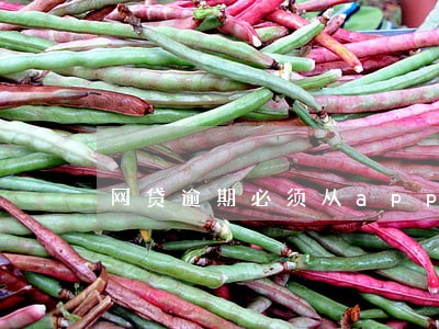网贷逾期必须从app还吗 网贷逾期必须从app还吗