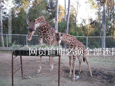 网贷逾期必须全部还掉吗 网贷逾期必须全部还掉吗