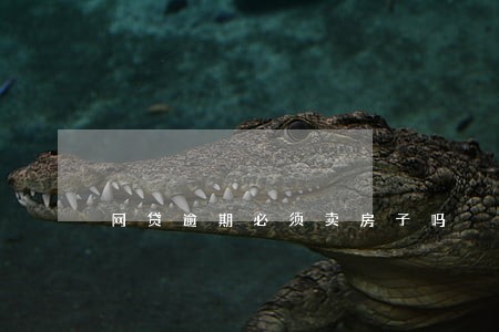 网贷逾期必须卖房子吗