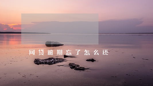 网贷逾期忘了怎么还