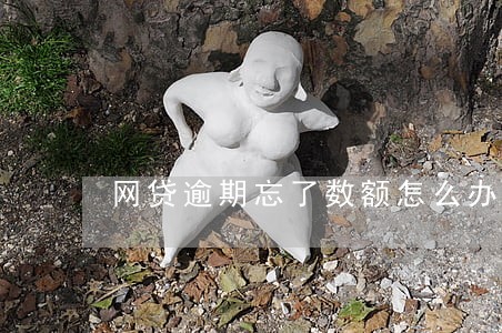 网贷逾期忘了数额怎么办 网贷逾期忘了数额怎么办