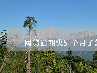 网贷逾期快5个月了怎么办 网贷逾期快5个月了怎么办