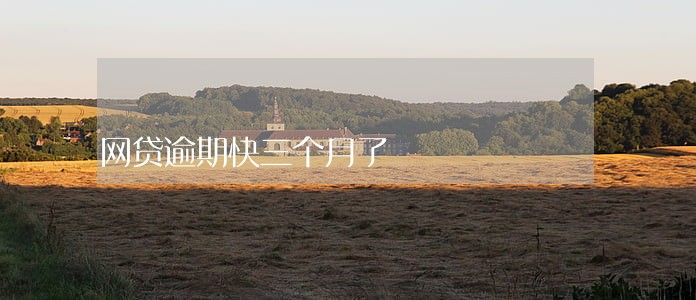 网贷逾期快三个月了