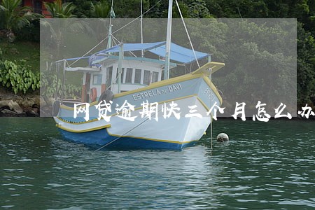 网贷逾期快三个月怎么办