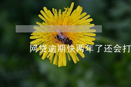 网贷逾期快两年了还会打电话吗