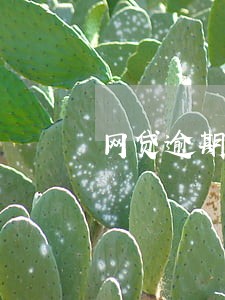 网贷逾期态度不好 网贷逾期态度不好
