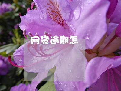 网贷逾期怎 网贷逾期怎