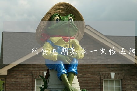 网贷逾期怎么一次性还清 网贷逾期怎么一次性还清