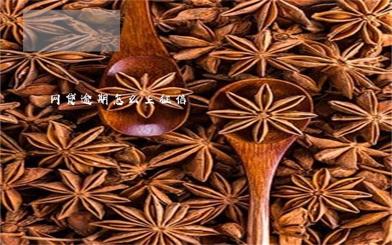 网贷逾期怎么上征信