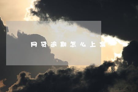 网贷逾期怎么上案 网贷逾期怎么上案
