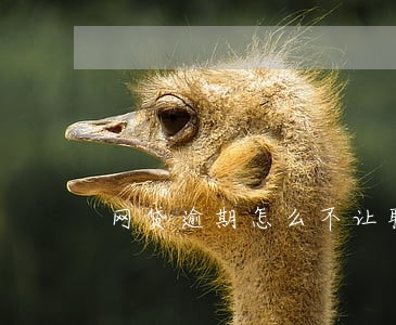 网贷逾期怎么不让联系通讯录 网贷逾期怎么不让联系通讯录
