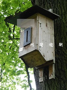 网贷逾期怎么会停掉信用卡 网贷逾期怎么会停掉信用卡
